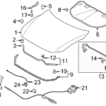 Капот и компоненты