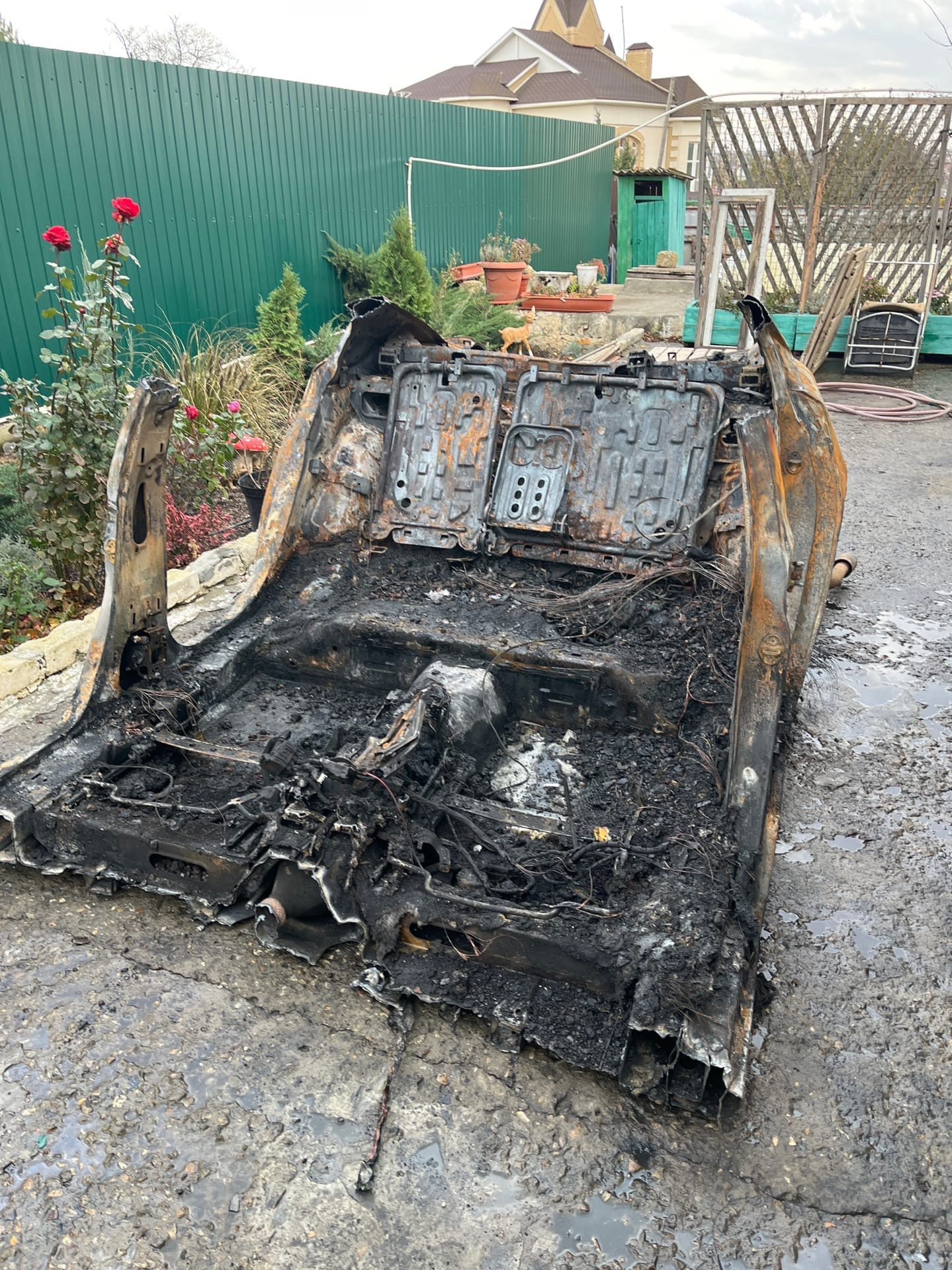 Беда из Элисты